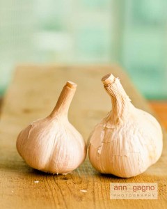 Garlic